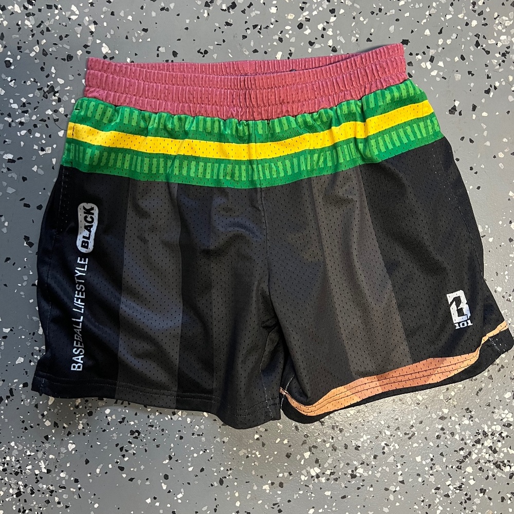 Baseball Lifestyle Youth Shorts (Size Large/12)